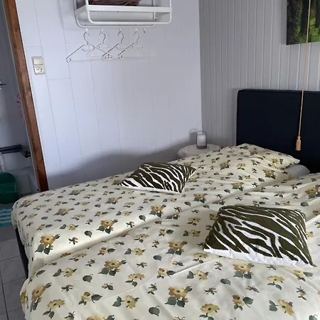 Homestay Beau-sejour *